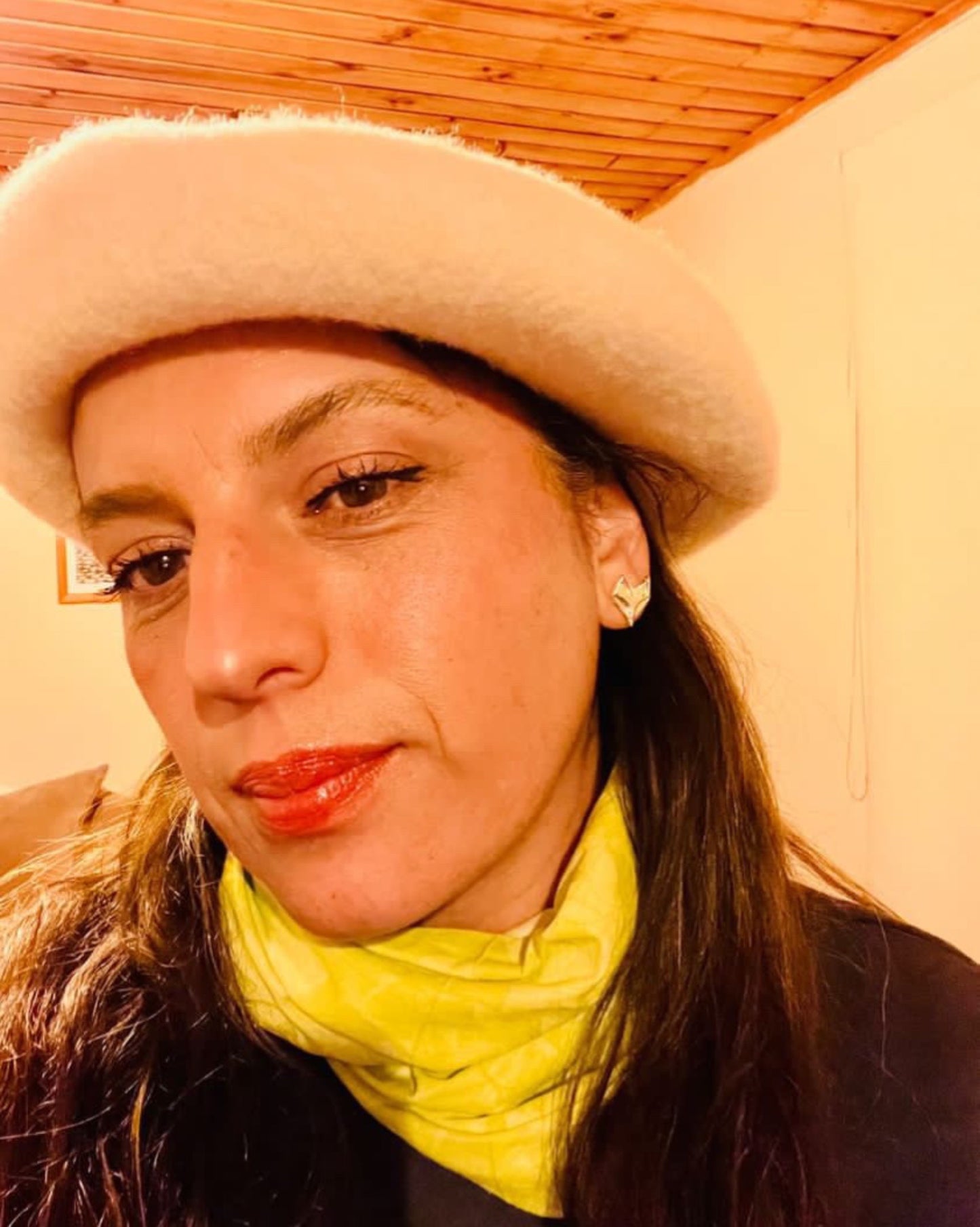 Aros zorrito de plata