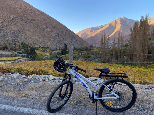 Qué hacer en el Valle de Elqui: 5 panoramas imperdibles para descubrir su naturaleza y cultura