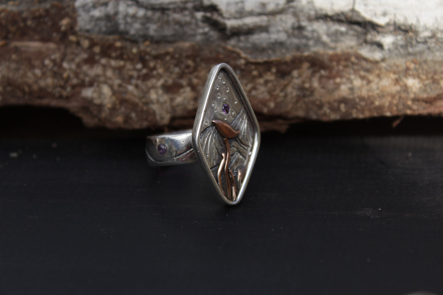 Anillo Aves Bajo las Estrellas en Plata 950 con Circones | Forjadas