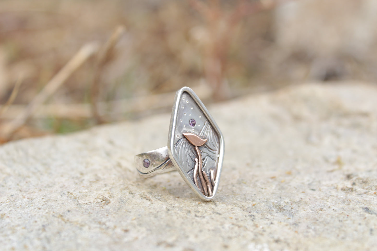 Anillo Aves Bajo las Estrellas en Plata 950 con Circones | Forjadas