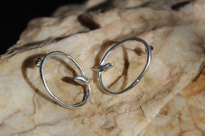 Aros de Plata 950 Ave sobre Rama | Joyería Inspirada en el Valle de Elqui