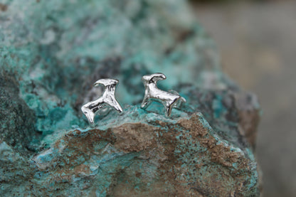 Aritos de Cabra | Joyería Artesanal Chilena Forjadas