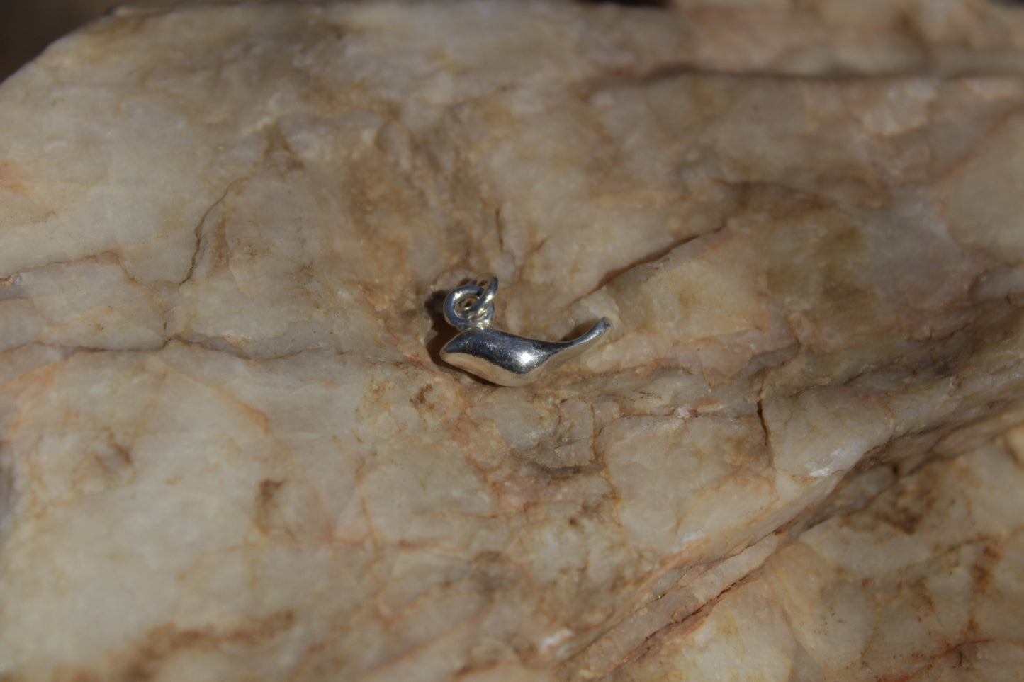 Collar de Plata 950 Ave Tenca | Joyería Inspirada en el Valle de Elqui