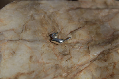 Collar de Plata 950 Ave Tenca | Joyería Inspirada en el Valle de Elqui