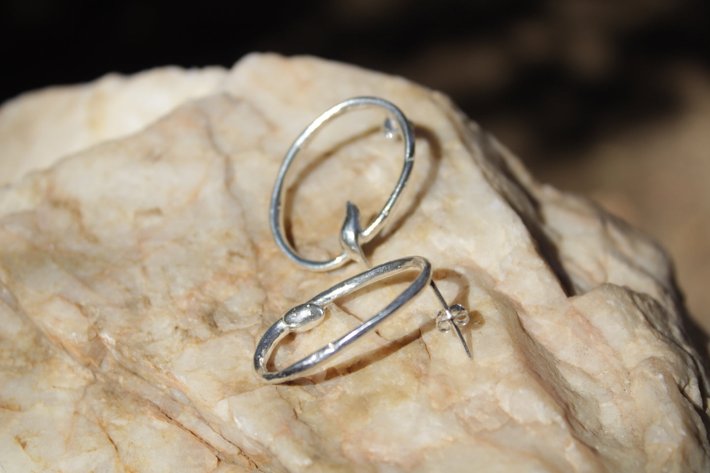 Aros de Plata 950 Ave sobre Rama | Joyería Inspirada en el Valle de Elqui