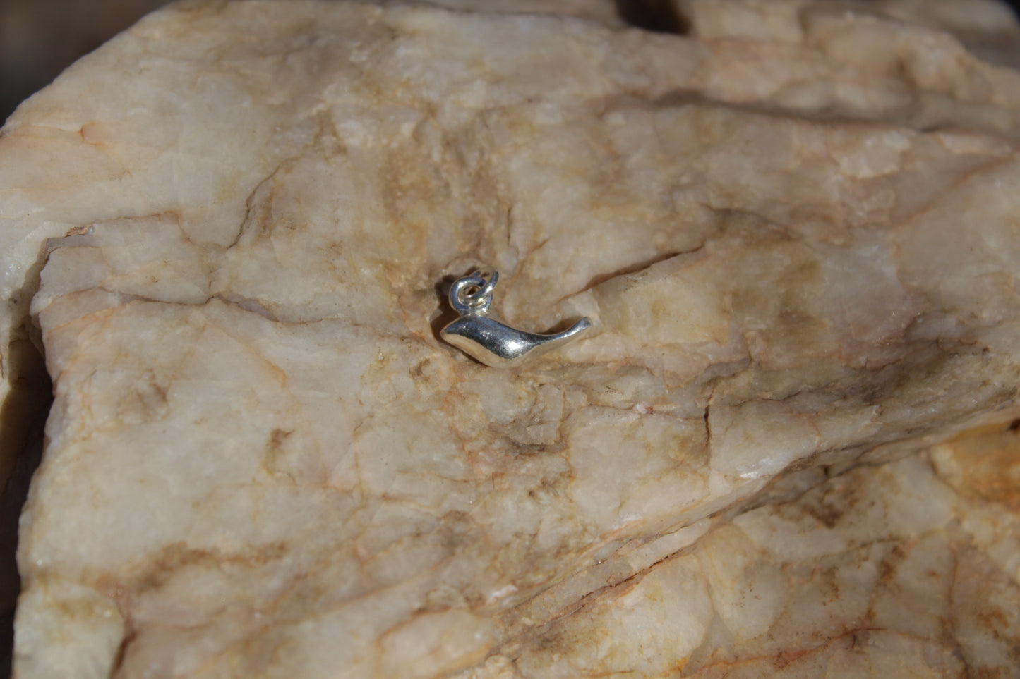 Collar de Plata 950 Ave Tenca | Joyería Inspirada en el Valle de Elqui