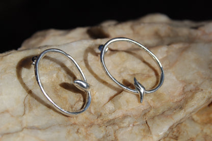 Aros de Plata 950 Ave sobre Rama | Joyería Inspirada en el Valle de Elqui
