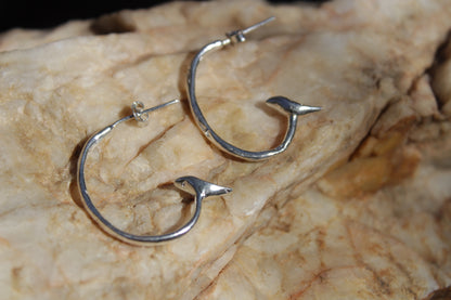 Aros de plata 950 Ave sobre Rama en formato argolla inspirados en el Valle de Elqui