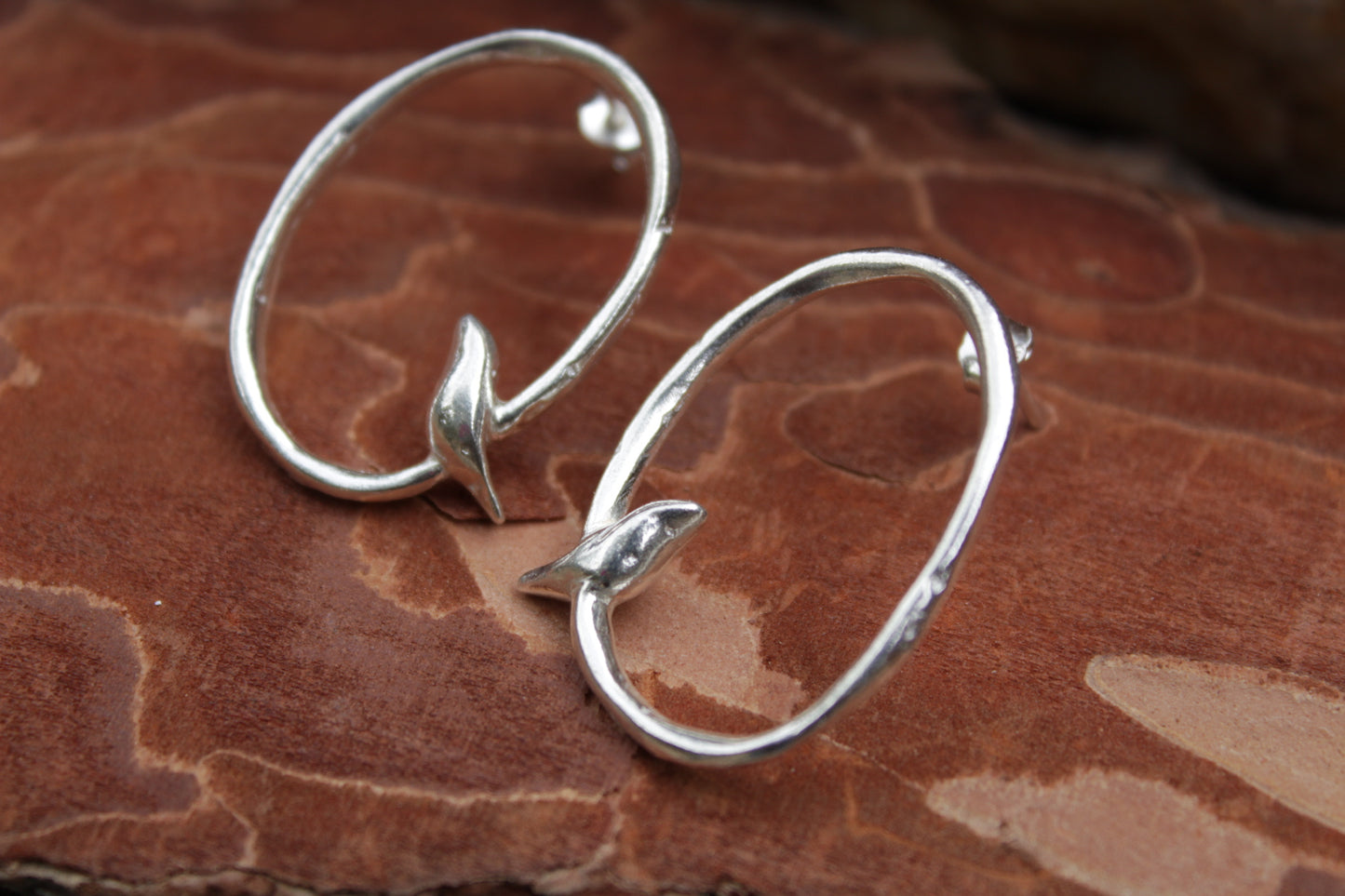 Aros de plata 950 Ave sobre Rama inspirados en la naturaleza del Valle de Elqui