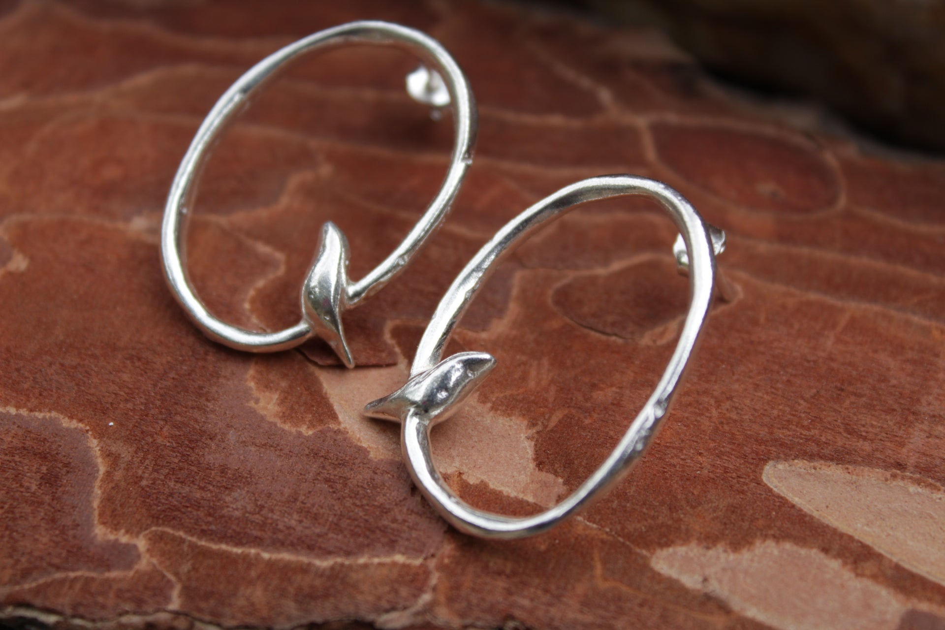 Aros de plata 950 Ave sobre Rama inspirados en la naturaleza del Valle de Elqui