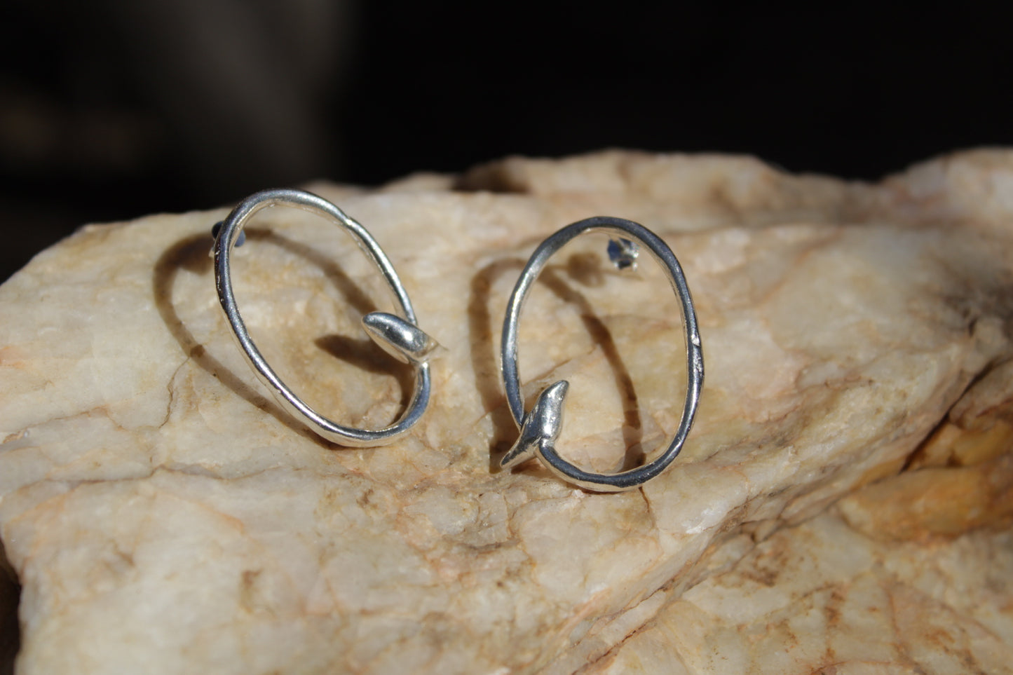 Aros de Plata 950 Ave sobre Rama | Joyería Inspirada en el Valle de Elqui